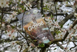 Goood Adult Soft Gooodies - Insekter 100g