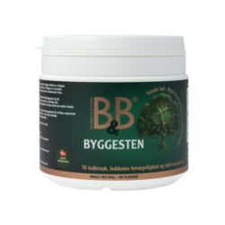 B&B Byggesten 100 g.