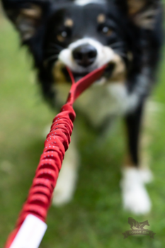 Doggie-Zen Bungee Håndtag Str. S 15mm