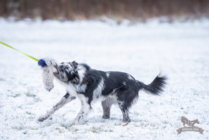 Doggie-Zen Octopus Sheepskin Chaser