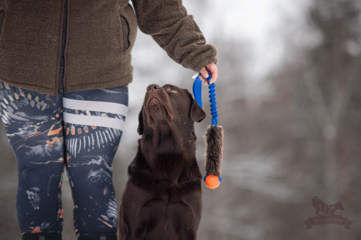 Doggie-Zen Bungee Beaver Tug L with Chuckit S