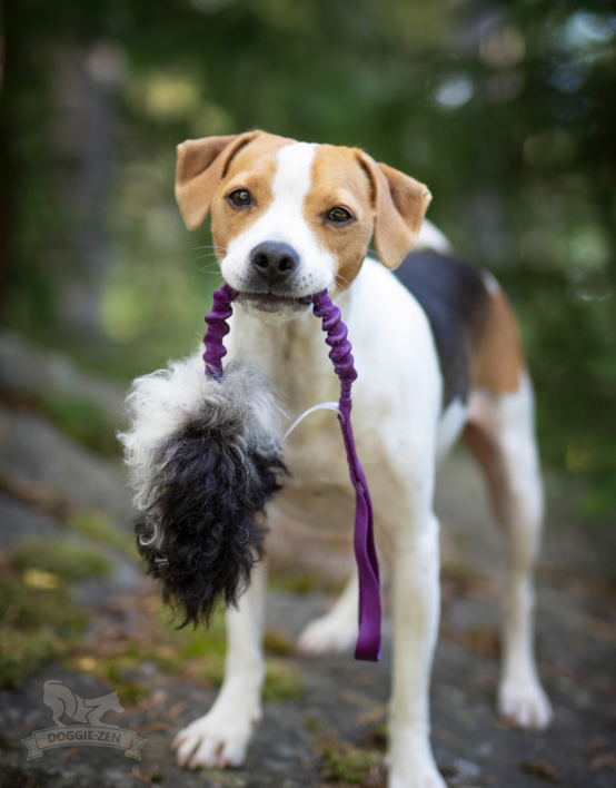 Doggie-Zen Bungee Treat Tug Sheepskin S