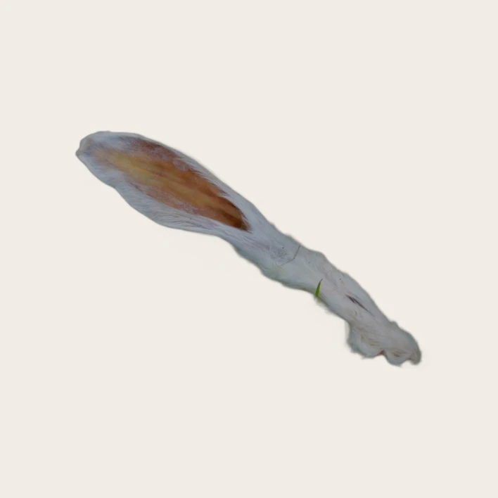 Kaninøre med pels 1 stk.