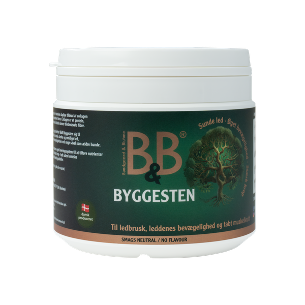 B&B Byggesten 100 g.