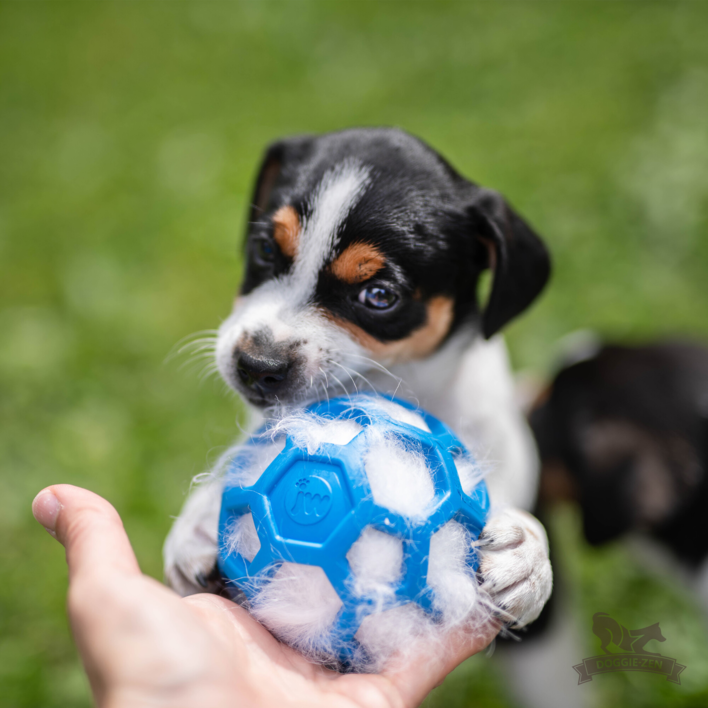 Doggie-Zen Sheepskin Squeaker til Hol-ee L