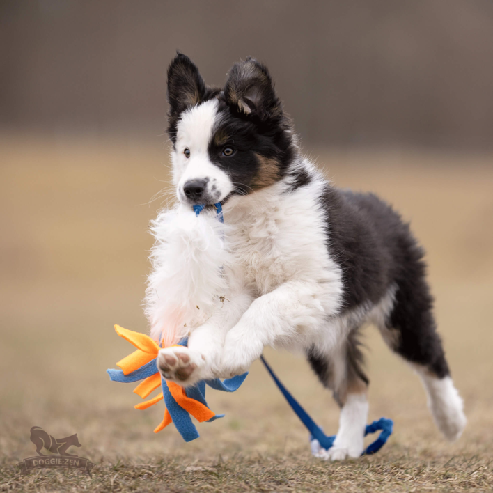 Doggie-Zen Bungee Sheepskin Chaser Tug S with Fleece Tails