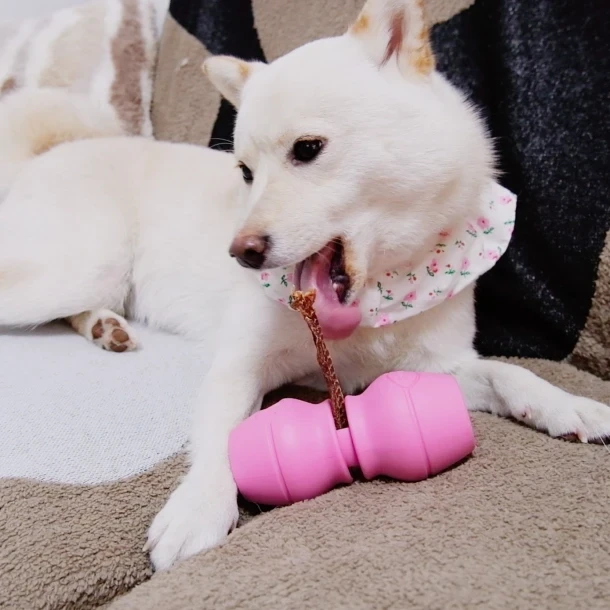 FORUDBESTILLING - Chewise Snack-Holder Standard - Pink