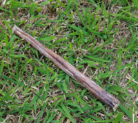 Whesco Tyrestænger 20 cm 1 stk.