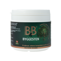 B&B Byggesten 250 g.